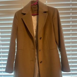 Calvin Klein peacock